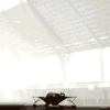 246142538.gif?1565532377